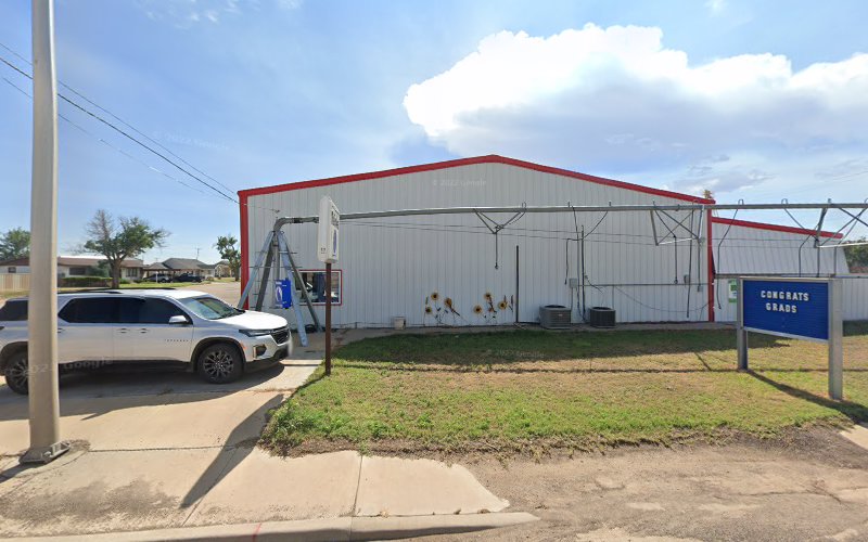 Texas Electric Company
