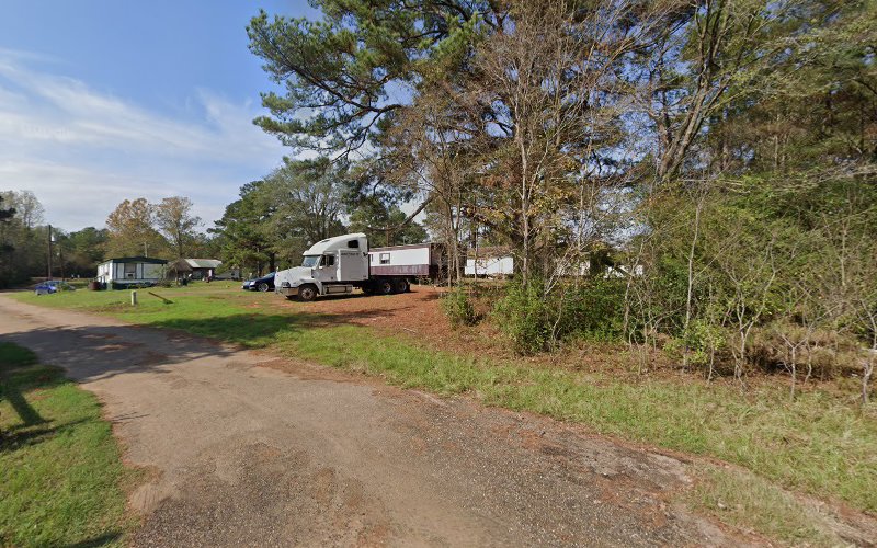 Jackson Reliable Tree Service