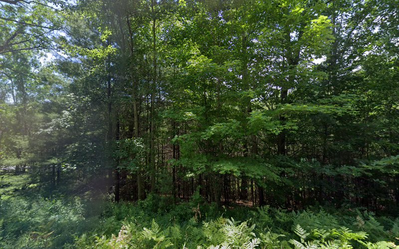 Willow Brook Builders LLC