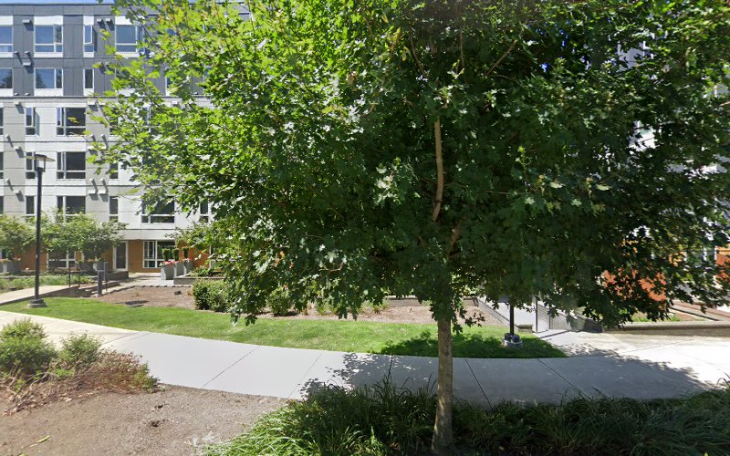 Evergreen Pro Remodeling LLC