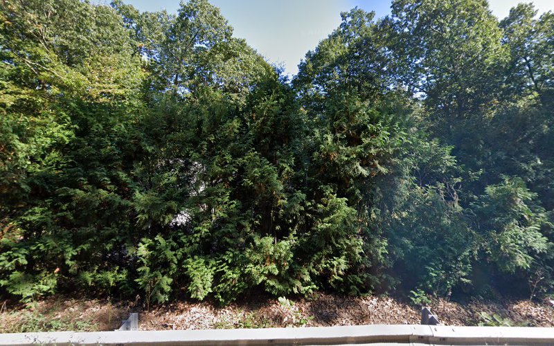 Cedar Grove Contracting, Inc.