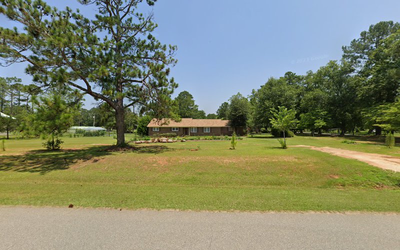 Affordable Trees & Construction