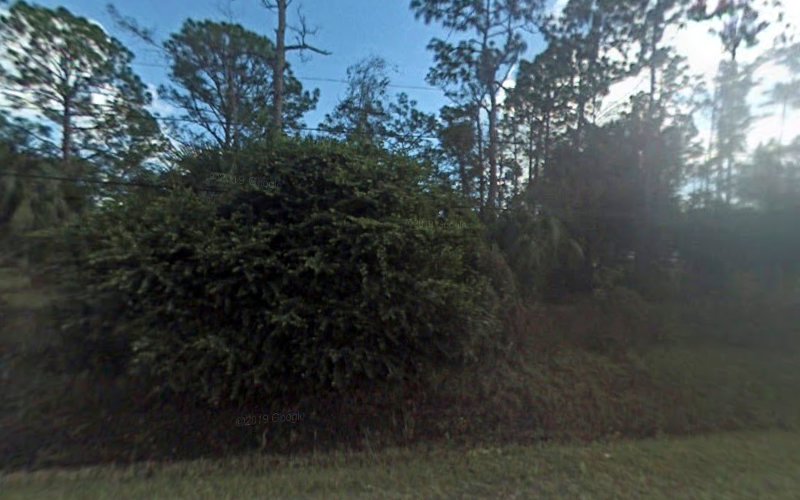 Perden Roofing LLC
