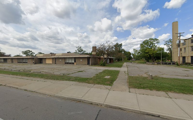 Raising Detroit