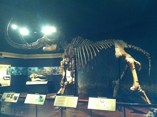 State Museum of Pennsylvania