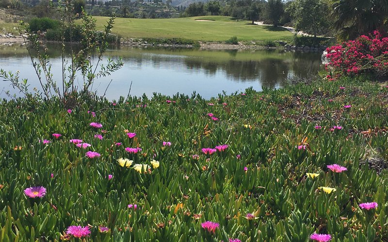 Angeles National Golf Club