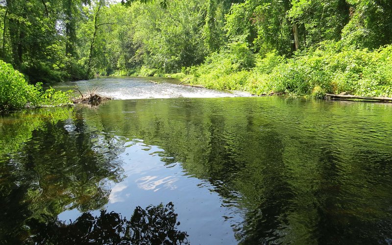 Stephens State Park