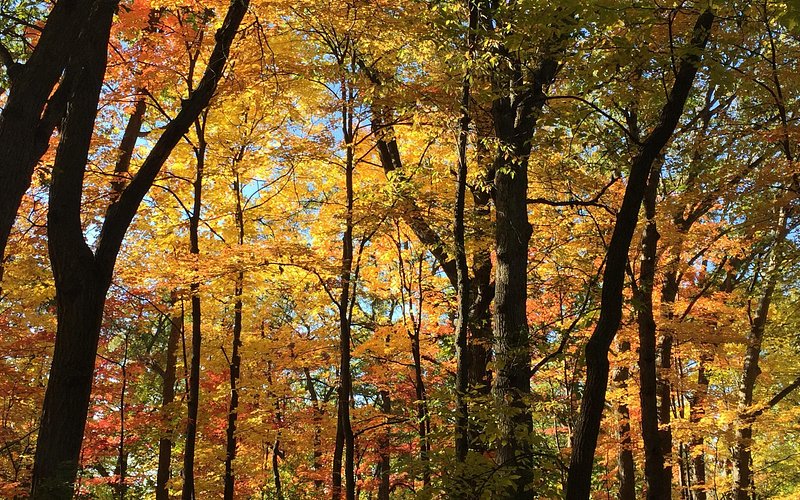 Theodore Wirth Regional Park