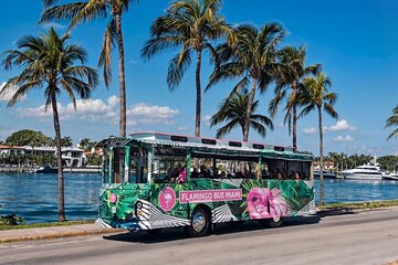 Flamingo Bus Miami Tour