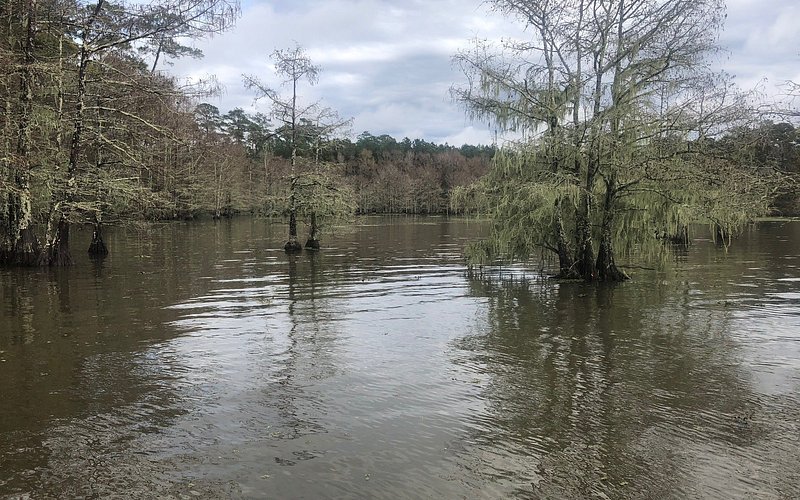 Sandy Creek