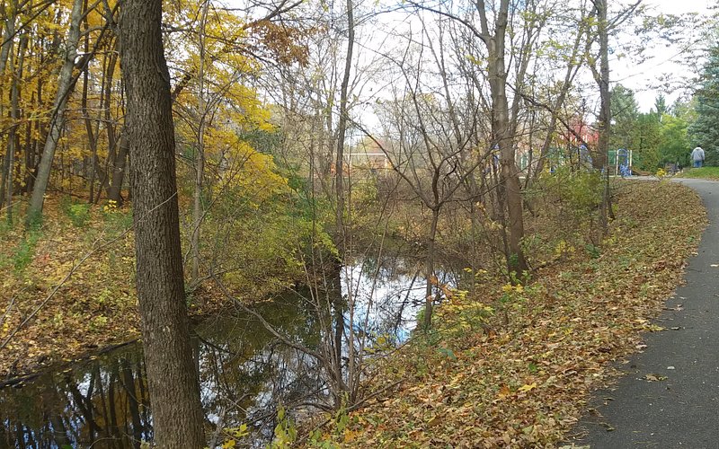 Maple Creek Park