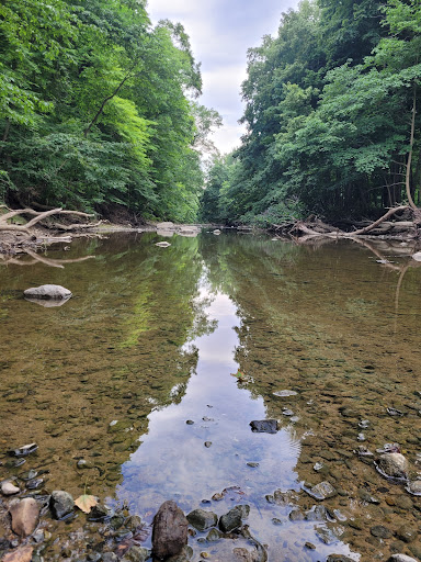 Sears Woods State Nature Preserve