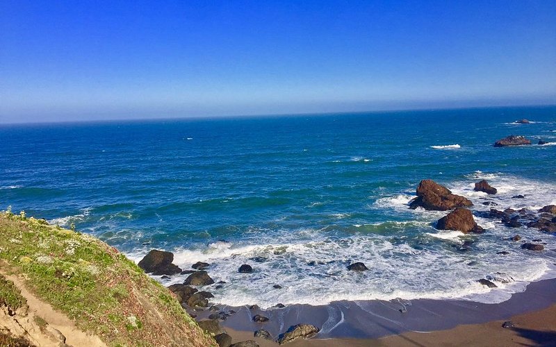 Goat Rock Beach