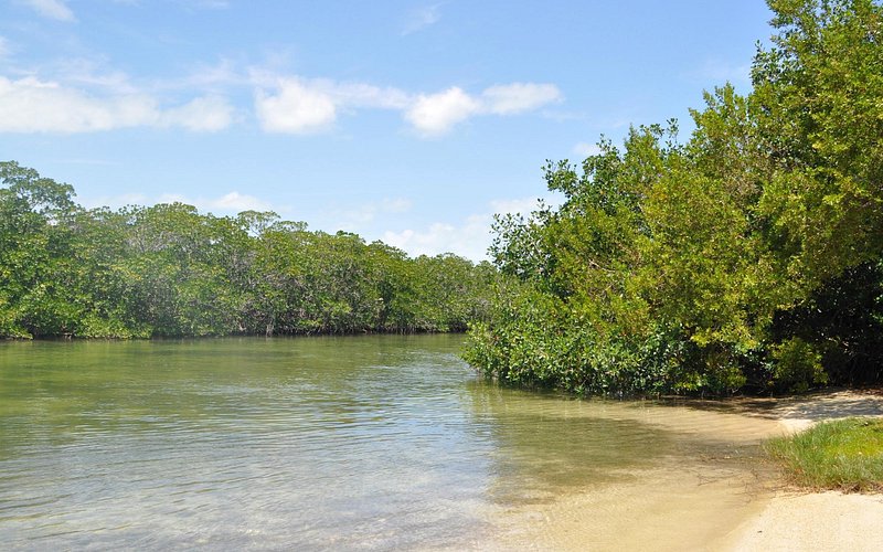 Library Beach Park