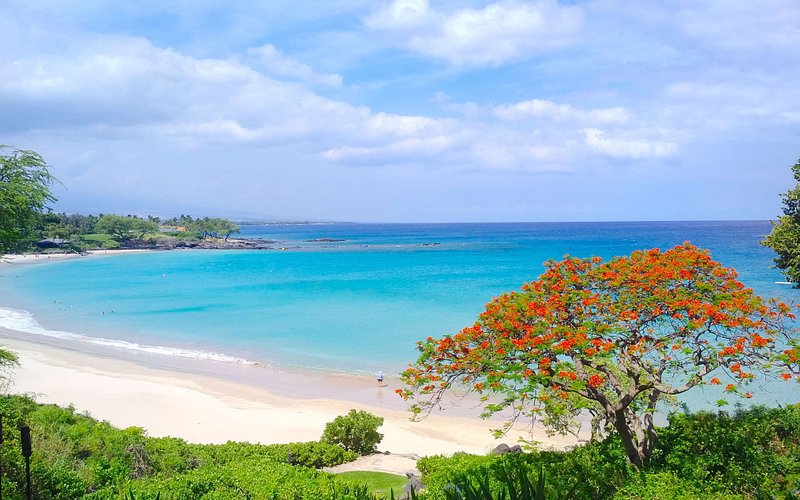 Mauna Kea Beach