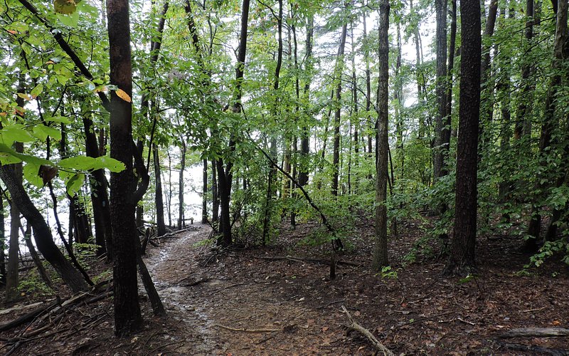 Smith Mountain Lake State Park