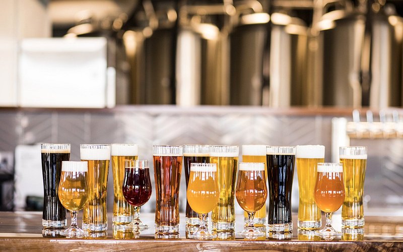 Venn Brewing Company