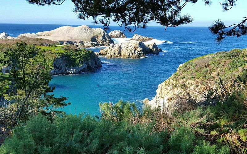 Point Lobos