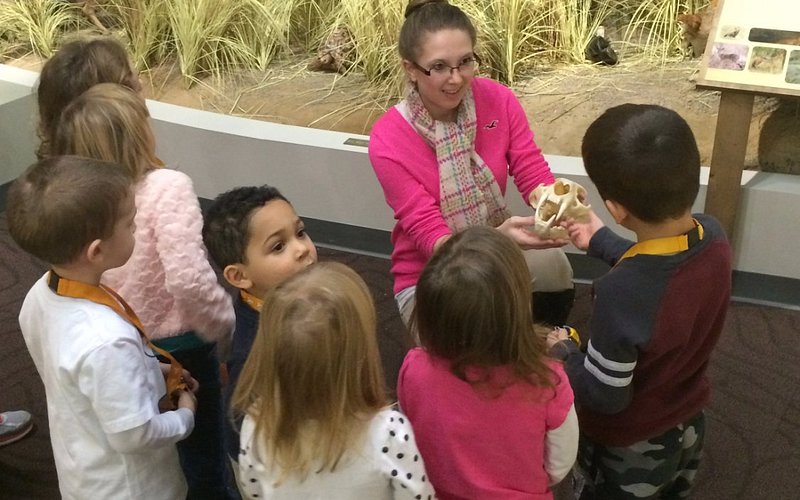 Schisler Museum of Wildlife & Natural History and McMunn Planetarium