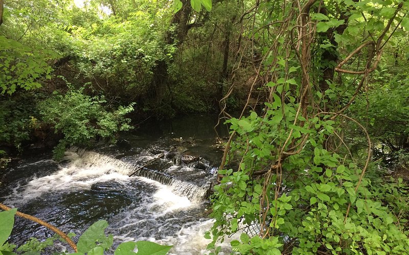 Belmont Lake State Park