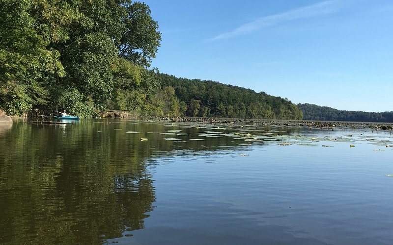 Piedmont Lake Marina