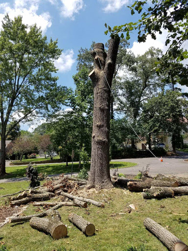 North Hills Park