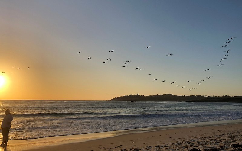 Carmel Beach