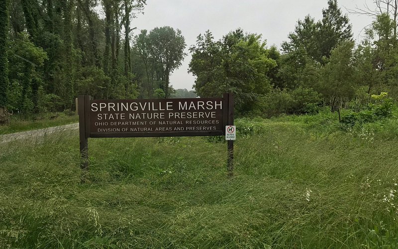 Springville Marsh State Nature Preserve