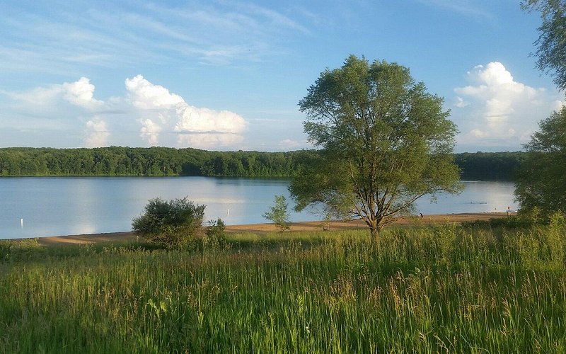 Fort Custer Recreation Area