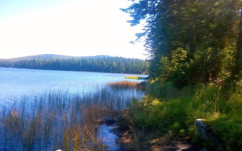 Coleman State Park