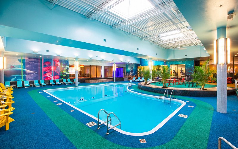 The Reef Beach Club & Pool