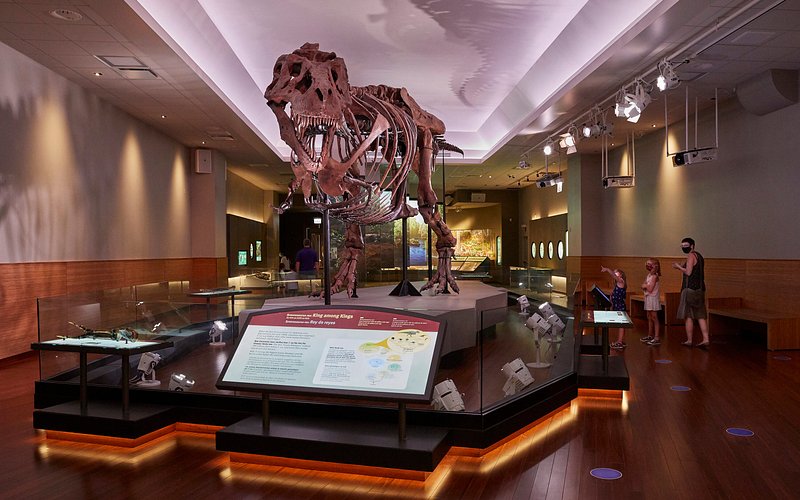 Field Museum