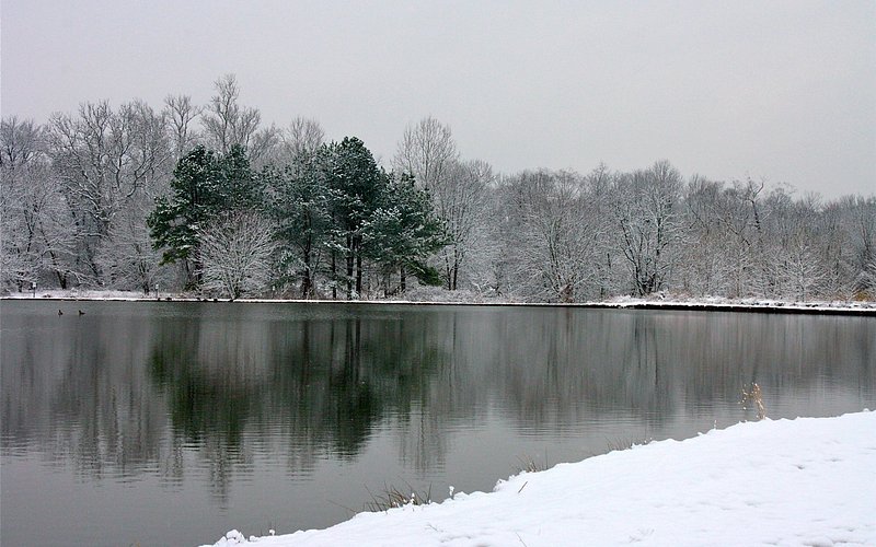 Cow Pond