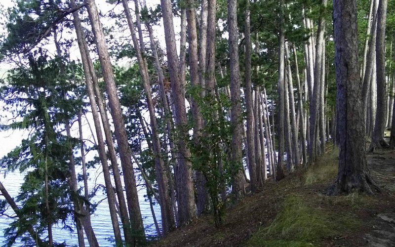 Scenic State Park