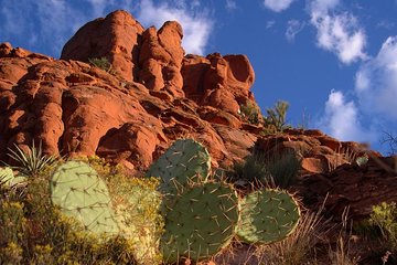 Sedona Red Rocks Outback Tour: Scenic, Smooth & Perfect Sunset