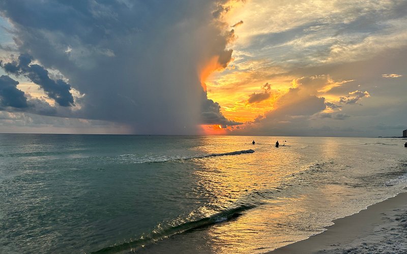 Dog Beach at Pier Park Panama City Beach