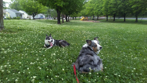 Boright Park