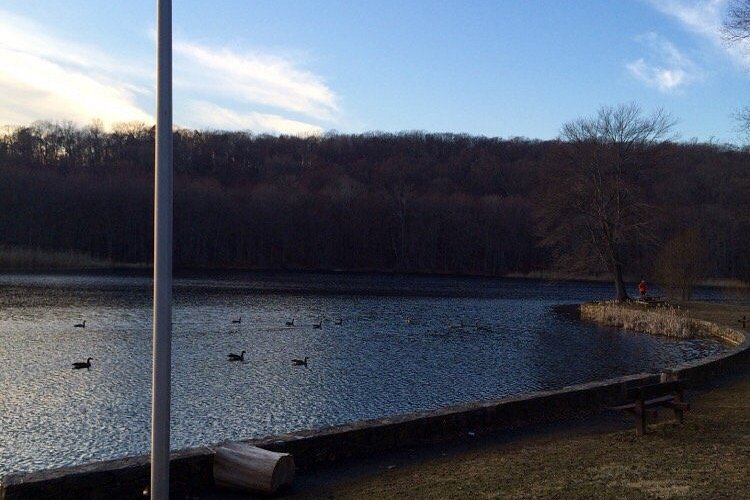Osborndale State Park