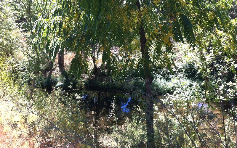 Santa Rosa Creek