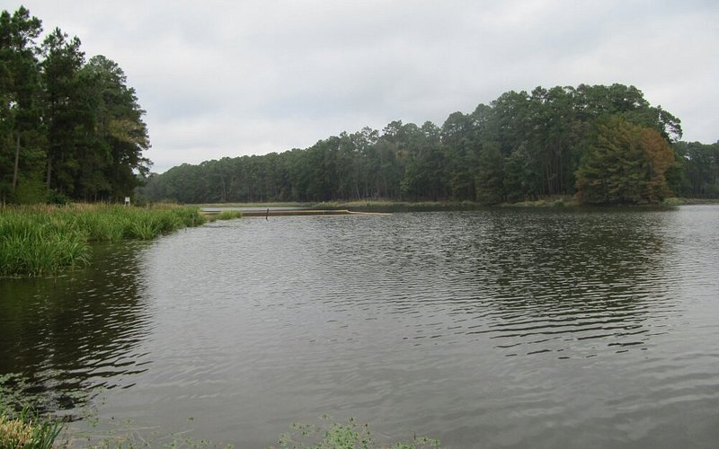 Ratcliff Lake
