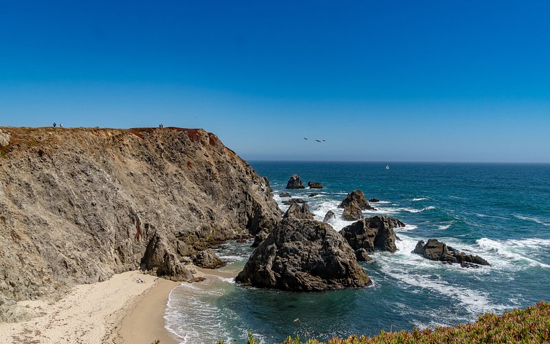 Bodega Head