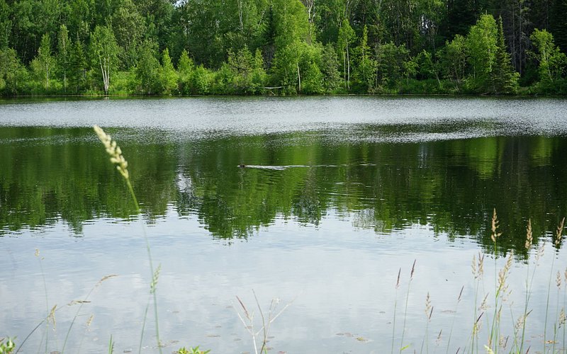 Big Bog State Recreation Area