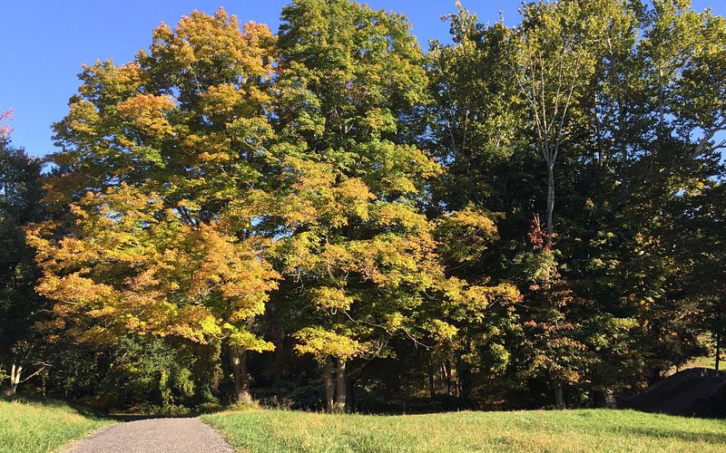 Rockefeller State Park Preserve