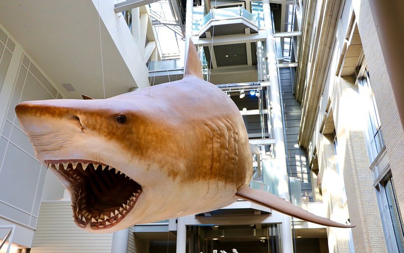 Smithsonian National Museum of Natural History