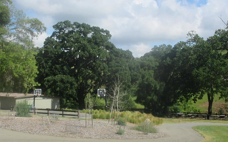 Diablo Foothills Regional Park