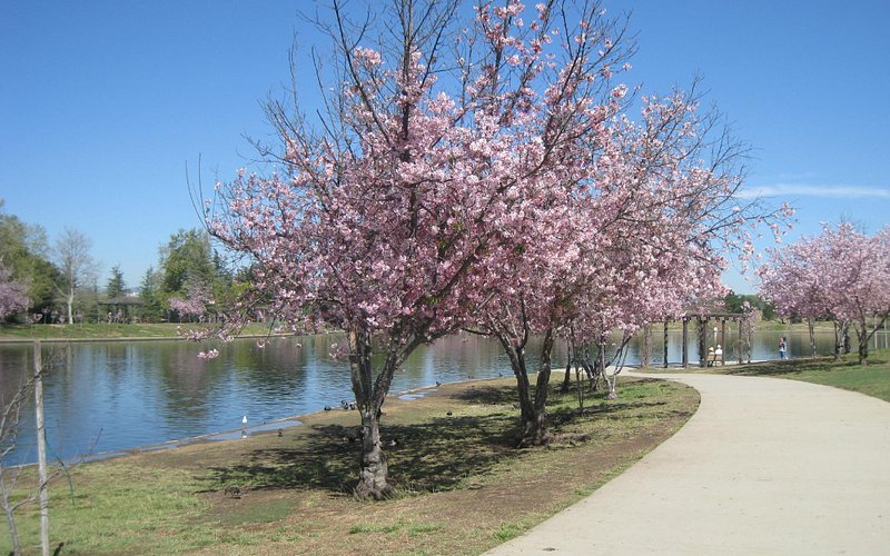 Lake Balboa Park