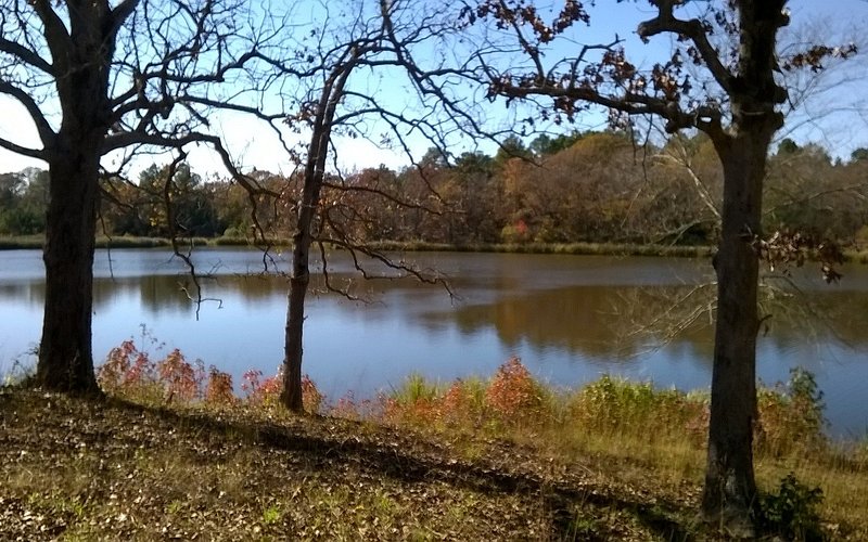 Wolf Creek Lake