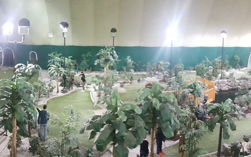 Paddock Chevrolet Golf Dome