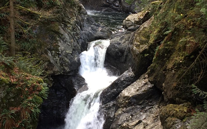 Twin Falls