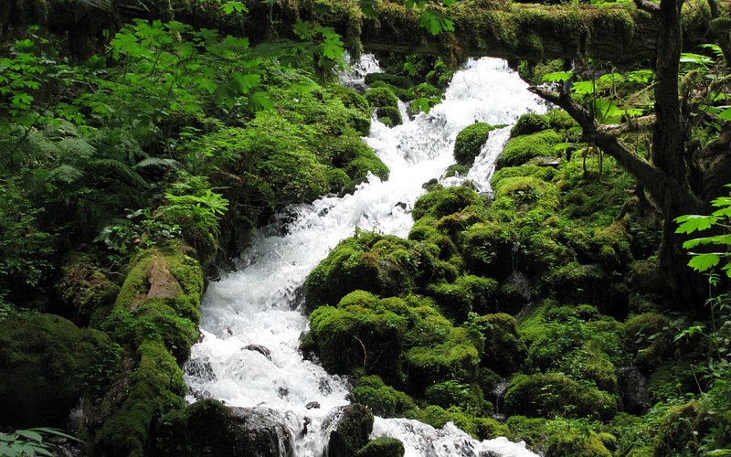 Columbia River Gorge National Scenic Area